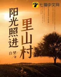 阳光照进竹林图片